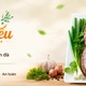 Hướng Dẫn Cách Nấu Dồi Thịt Tươi Hành Sả Tiêu Thơm Ngon, Đơn Giản Tại Nhà